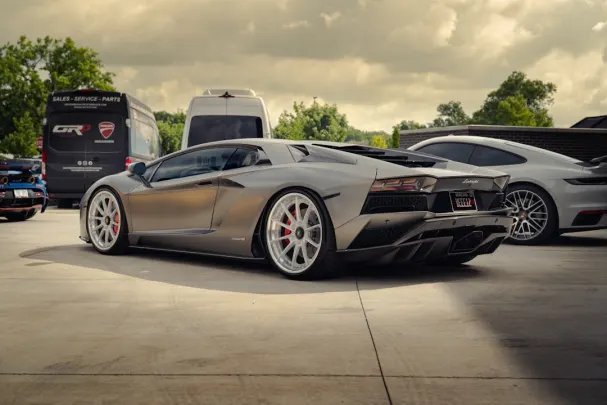 Dolly Kazino Android/iOS Lietotne